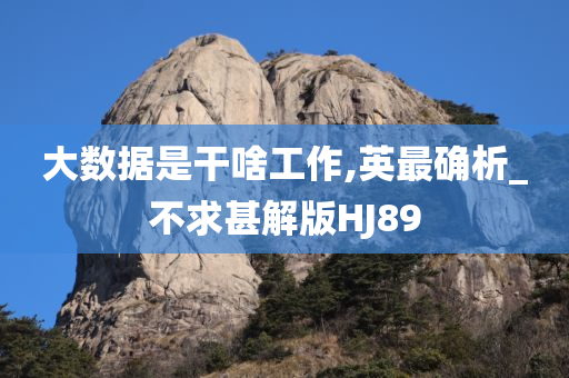 大数据是干啥工作,英最确析_不求甚解版HJ89