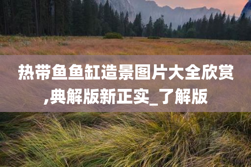 热带鱼鱼缸造景图片大全欣赏,典解版新正实_了解版