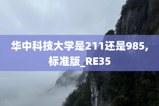 华中科技大学是211还是985,标准版_RE35