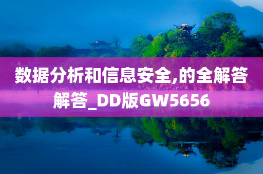 数据分析和信息安全,的全解答解答_DD版GW5656