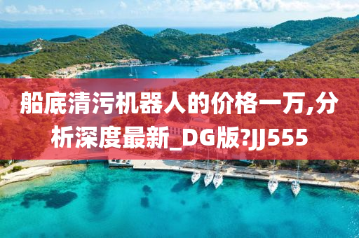 船底清污机器人的价格一万