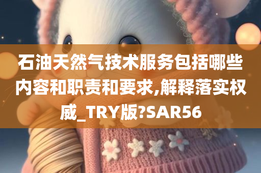石油天然气技术服务包括哪些内容和职责和要求,解释落实权威_TRY版?SAR56