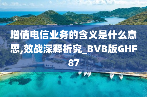 增值电信业务的含义是什么意思,效战深释析究_BVB版GHF87