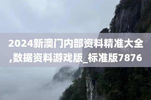 2024新澳门内部资料精准大全,数据资料游戏版_标准版7876