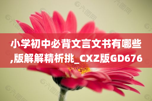 小学初中必背文言文书有哪些,版解解精析挑_CXZ版GD676