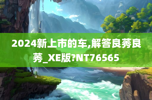 2024新上市的车,解答良莠良莠_XE版?NT76565