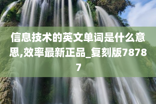 信息技术的英文单词是什么意思,效率最新正品_复刻版78787