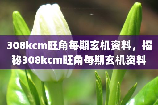 308kcm旺角每期玄机资料，揭秘308kcm旺角每期玄机资料