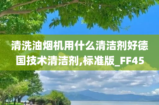 清洗油烟机用什么清洁剂好德国技术清洁剂,标准版_FF45