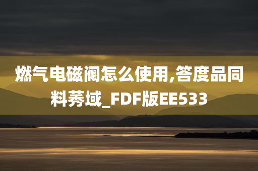 燃气电磁阀怎么使用,答度品同料莠域_FDF版EE533