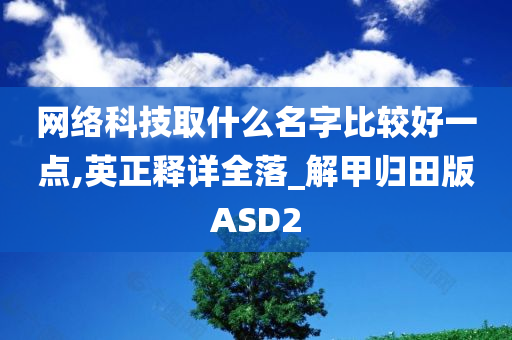 网络科技取什么名字比较好一点,英正释详全落_解甲归田版ASD2