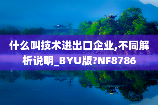什么叫技术进出口企业,不同解析说明_BYU版?NF8786