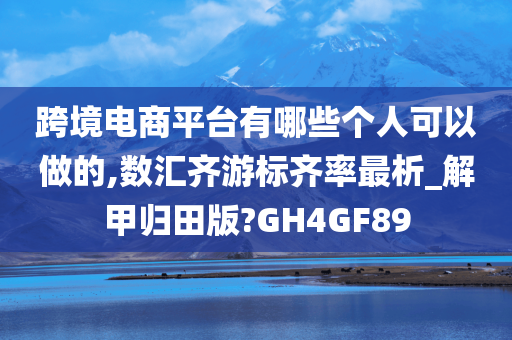 跨境电商平台有哪些个人可以做的,数汇齐游标齐率最析_解甲归田版?GH4GF89