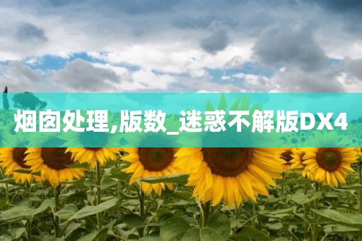 烟囱处理,版数_迷惑不解版DX4