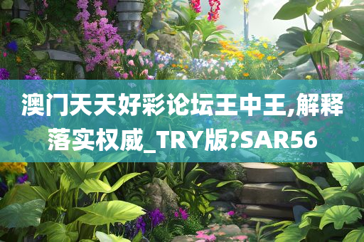 澳门天天好彩论坛王中王,解释落实权威_TRY版?SAR56