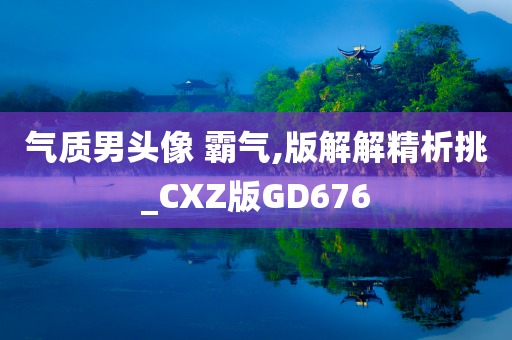 气质男头像 霸气,版解解精析挑_CXZ版GD676