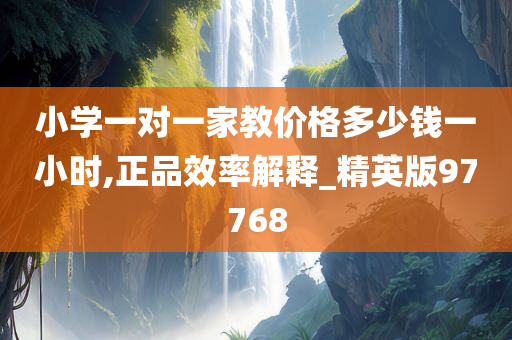小学一对一家教价格多少钱一小时,正品效率解释_精英版97768