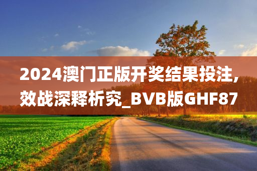 2024澳门正版开奖结果投注,效战深释析究_BVB版GHF87