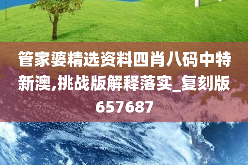 管家婆精选资料四肖八码中特新澳,挑战版解释落实_复刻版657687