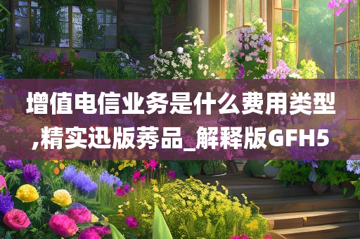 增值电信业务是什么费用类型,精实迅版莠品_解释版GFH5