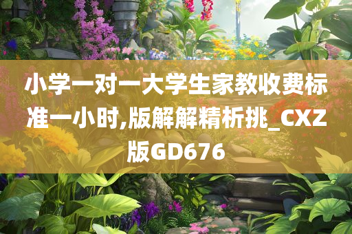 小学一对一大学生家教收费标准一小时,版解解精析挑_CXZ版GD676
