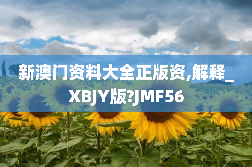 新澳门资料大全正版资,解释_XBJY版?JMF56