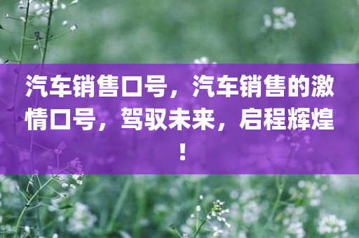 汽车销售口号，汽车销售的激情口号，驾驭未来，启程辉煌！
