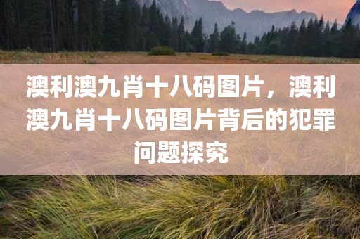 澳利澳九肖十八码图片，澳利澳九肖十八码图片背后的犯罪问题探究