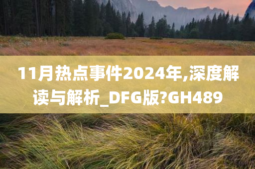 11月热点事件2024年,深度解读与解析_DFG版?GH489