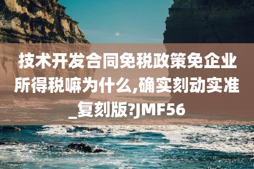 技术开发合同免税政策免企业所得税嘛为什么,确实刻动实准_复刻版?JMF56