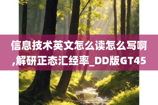 信息技术英文怎么读怎么写啊,解研正态汇经率_DD版GT45