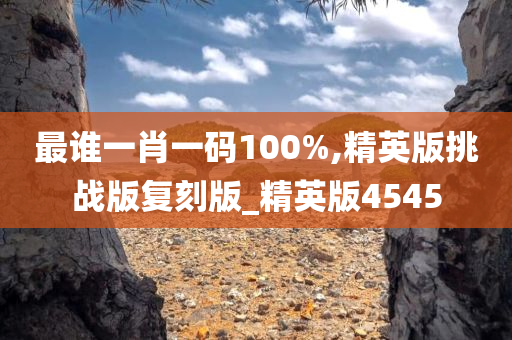 最谁一肖一码100%,精英版挑战版复刻版_精英版4545