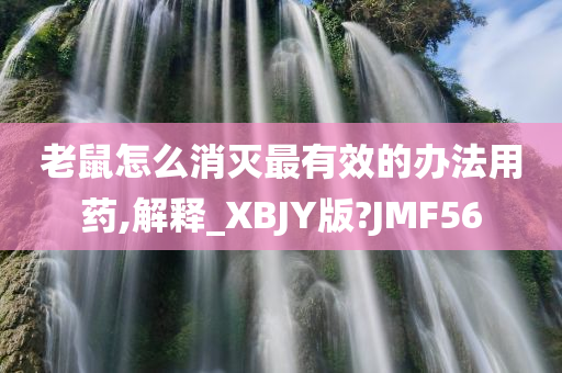 老鼠怎么消灭最有效的办法用药,解释_XBJY版?JMF56