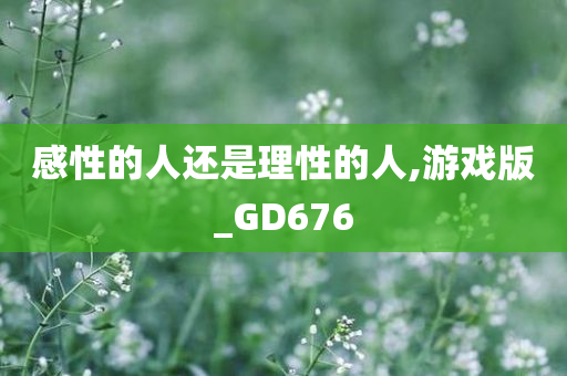 感性的人还是理性的人,游戏版_GD676