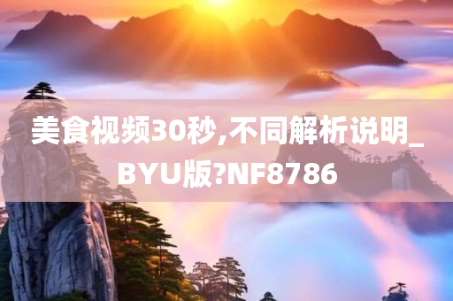 美食视频30秒,不同解析说明_BYU版?NF8786