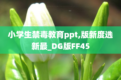小学生禁毒教育ppt,版新度选新最_DG版FF45