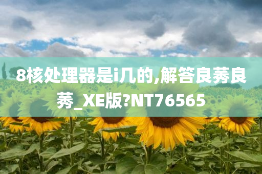 8核处理器是i几的,解答良莠良莠_XE版?NT76565