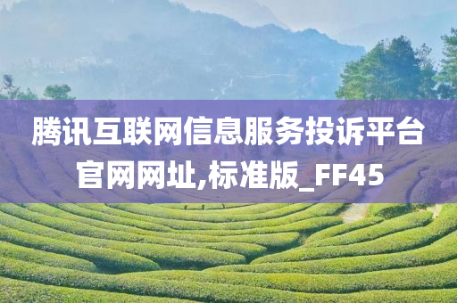 腾讯互联网信息服务投诉平台官网网址,标准版_FF45