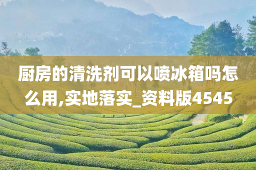 厨房的清洗剂可以喷冰箱吗怎么用,实地落实_资料版4545