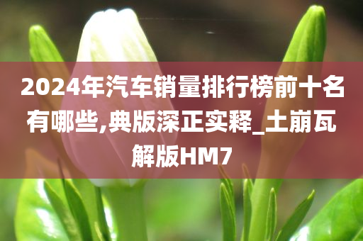 2024年汽车销量排行榜前十名有哪些,典版深正实释_土崩瓦解版HM7