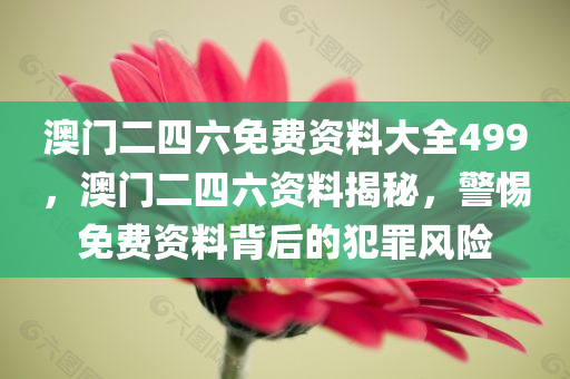 澳门二四六免费资料大全499，澳门二四六资料揭秘，警惕免费资料背后的犯罪风险