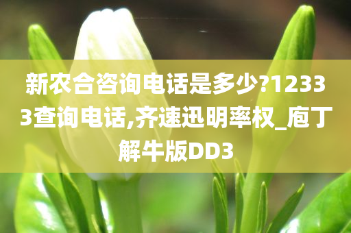 新农合咨询电话是多少?12333查询电话,齐速迅明率权_庖丁解牛版DD3