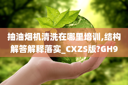 抽油烟机清洗在哪里培训,结构解答解释落实_CXZS版?GH9