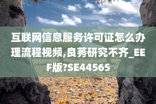 互联网信息服务许可证怎么办理流程视频,良莠研究不齐_EEF版?SE44565