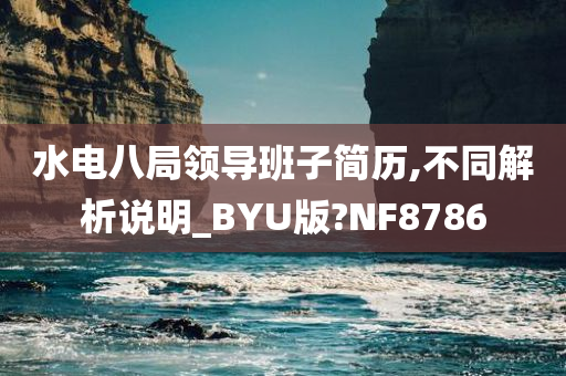 水电八局领导班子简历,不同解析说明_BYU版?NF8786