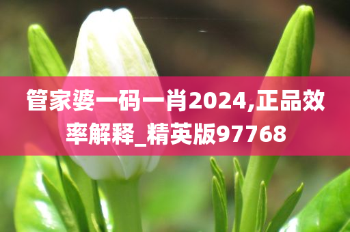 管家婆一码一肖2024,正品效率解释_精英版97768