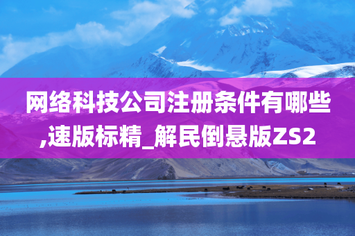 网络科技公司注册条件有哪些,速版标精_解民倒悬版ZS2