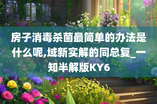 房子消毒杀菌最简单的办法是什么呢,域新实解的同总复_一知半解版KY6