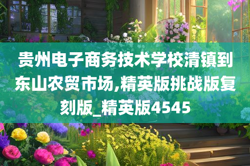 贵州电子商务技术学校清镇到东山农贸市场,精英版挑战版复刻版_精英版4545
