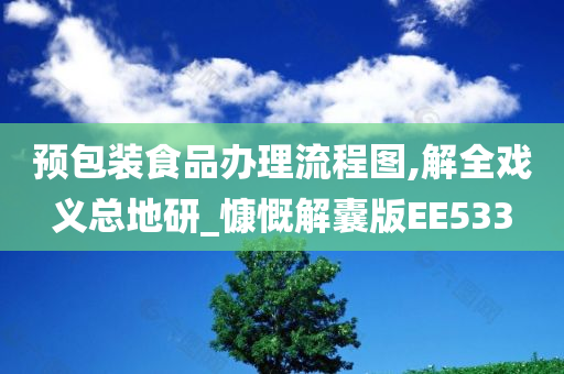 预包装食品办理流程图,解全戏义总地研_慷慨解囊版EE533
